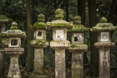Japon taş fenerler