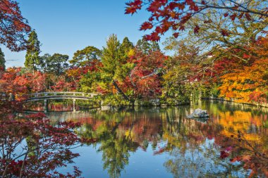 Kyoto eikando Tapınağı Garden