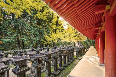 Japon taş fenerler
