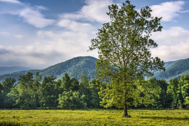 Cades Cove clipart