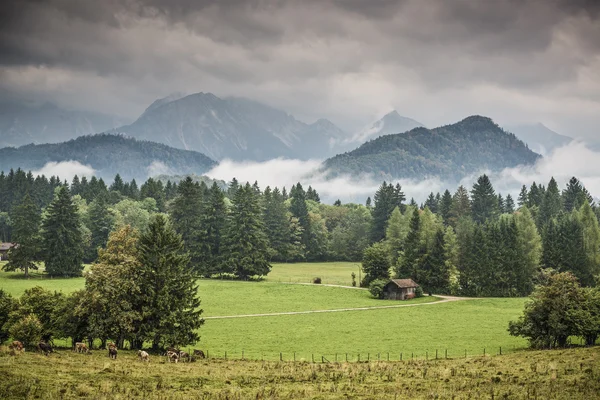 Beierse landerijen — Stockfoto