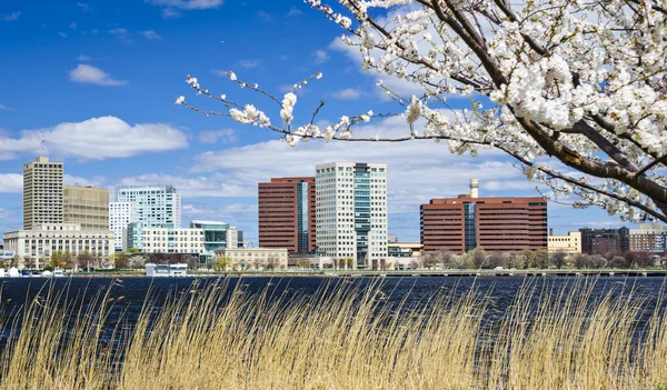 Cambridge (Massachusetts) — Stockfoto