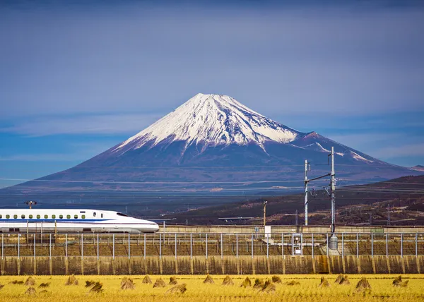 Mt. Fuji Ordförande — Stockfoto