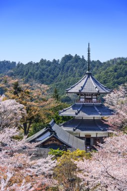 yoshinoyama, kinpusenji pagoda, Japonya