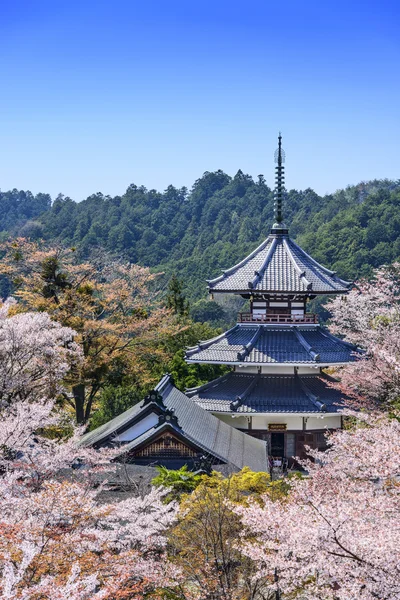 Yoshinoyama, kinpusenji 탑에서 일본 — 스톡 사진