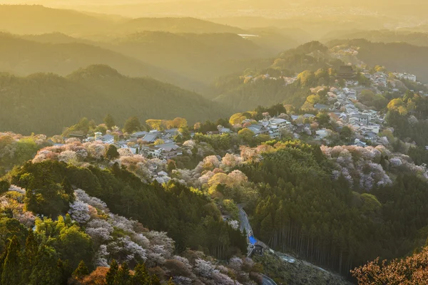 Yoshinoyama, Japonia — Zdjęcie stockowe