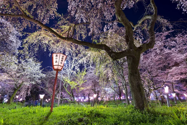 Hirano Temple — Stock Photo, Image