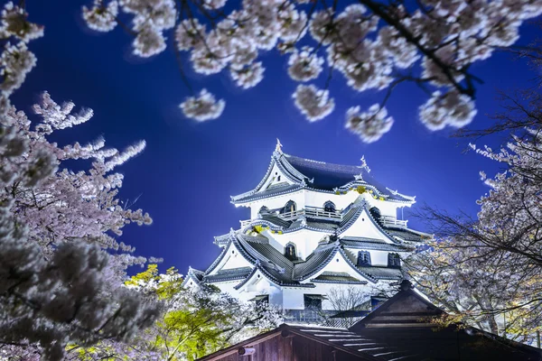 Castelo de Hikone — Fotografia de Stock