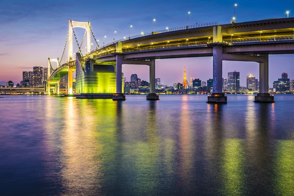 Tokyo bay panoráma — Stock fotografie