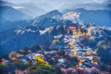Yoshinoyama, Japonya 
