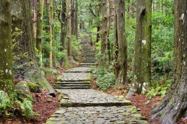 Kumano kodo