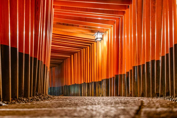 Fushimi Inari taisha — Stok fotoğraf