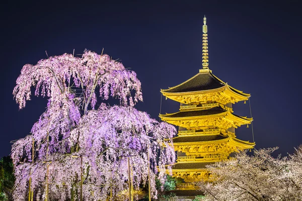 Pagode de Todai-ji na primavera — Fotografia de Stock
