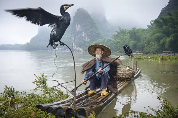 Pescatore cormorano — Foto Stock