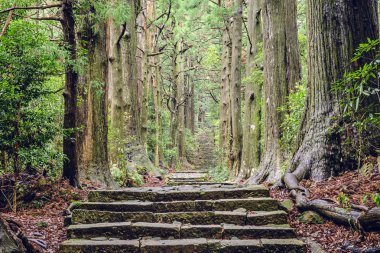 Kumano kodo