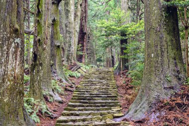 Kumano kodo