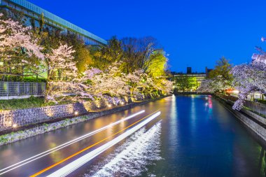 Kyoto Japonya Okazaki Canal