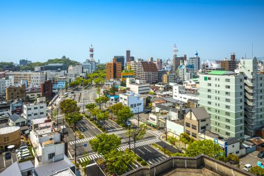 Wakayama city, Japonya