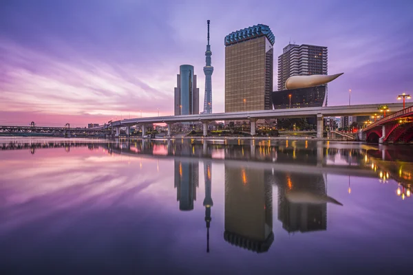 Tokyo, Japan skyline — Stock Photo, Image