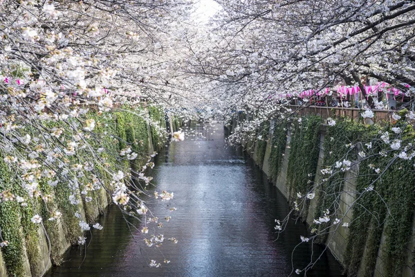 Canal de Meguro — Foto de Stock