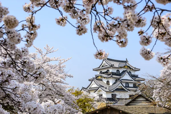 Hikone замок — стокове фото