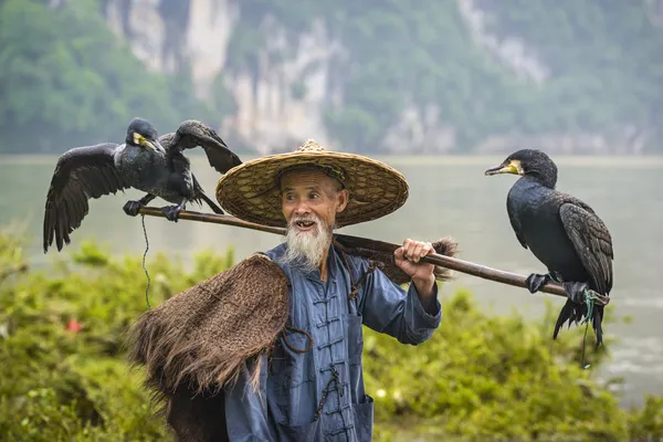 Cormorán pescador — Foto de Stock