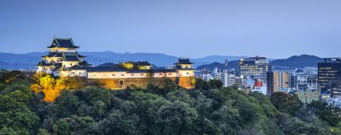 Wakayama city, Japonya