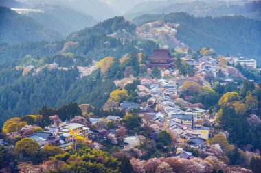 Yoshinoyama, Japonya 