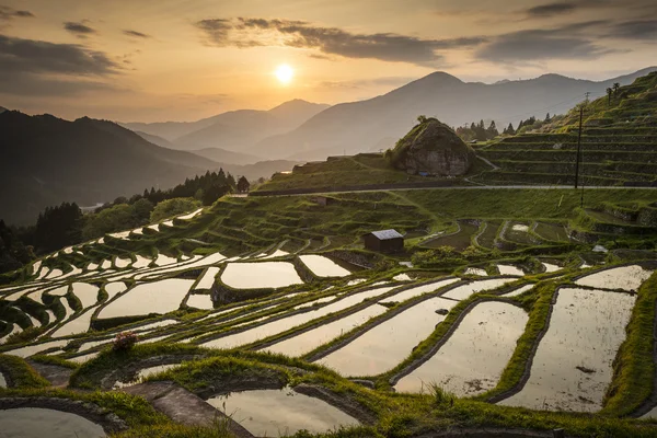 Terraços de arroz — Fotografia de Stock