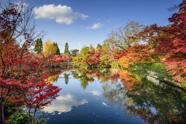 sonbaharda yapraklar Kyoto, Japonya