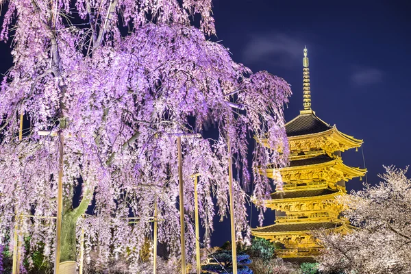 To-ji Pagoda in primavera — Foto Stock