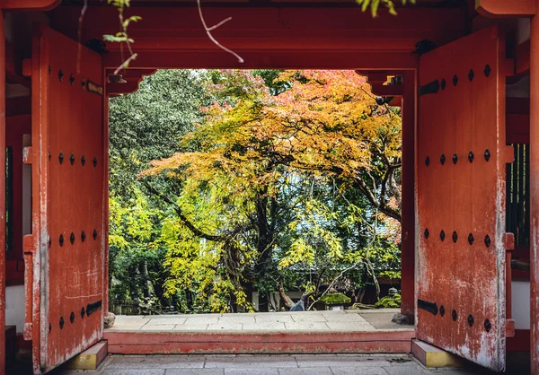 Folhagem de outono em Nara, Japão — Fotografia de Stock