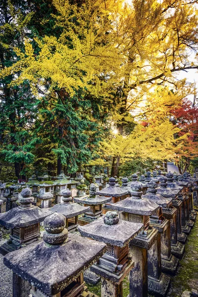 Herbst Laub in nara, Japan — Stockfoto