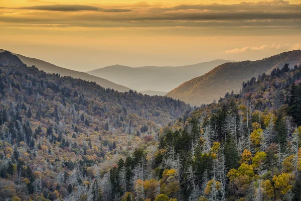 Regionie smoky mountains national park — Zdjęcie stockowe