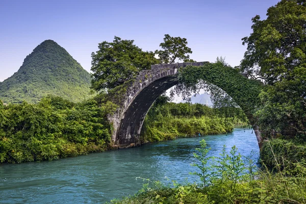 Puente del Dragón —  Fotos de Stock