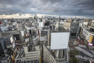 Shibuya, tokyo, Japonya
