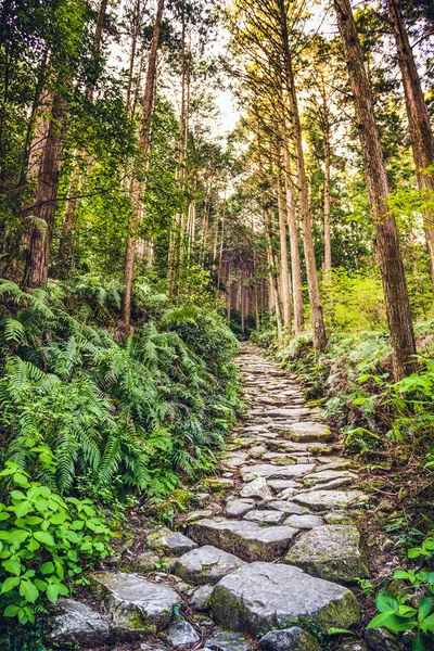 Matsumoto Pass i Kumano, Japan - Stock-foto