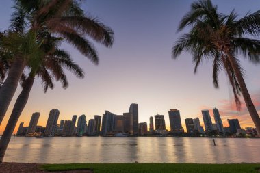 Miami, Florida, ABD Biscayne Körfezi 'nde ufuk çizgisi alacakaranlıkta palmiyelerle.