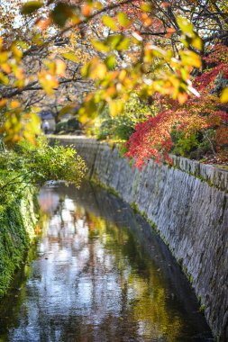 Felsefe yolu kyoto, Japonya