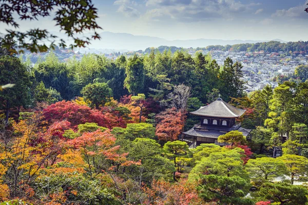 Fall Foliage in Kyoto — Stock Photo, Image