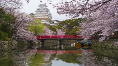Himeji, Japonya bahar mevsiminde Himeji Kalesi 'nde..