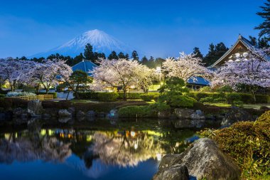 Fujinomiya, SHIZUOKA, Japonya Mt. Fuji ve tapınaklar bahar sezonu ile. 