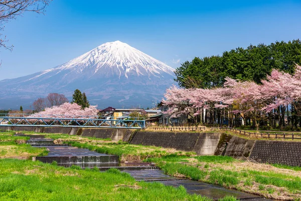 Fuji Visto Província Rural Shizuoka Temporada Primavera Com Flores Cereja — Fotografia de Stock