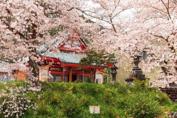 Templo Kotokuji Shizuoka Japón Temporada Primavera — Foto de Stock