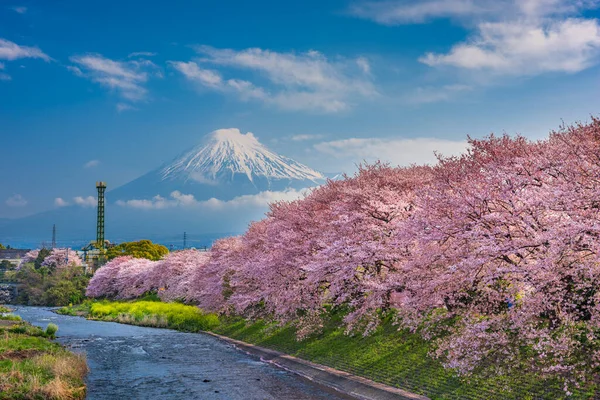 Гора Фудзи Весенний Пейзаж Японии Река Уруи Вишневым Сомом — стоковое фото