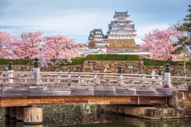 Nda bahar kiraz çiçeği sezonunda Himeji Kalesi Himeji, Japonya.