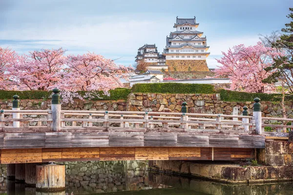 Japán Himeji Himeji Vár Tavasz Cseresznyevirág — Stock Fotó