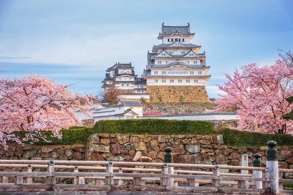 Japán Himeji Himeji Vár Tavasz Cseresznyevirág — Stock Fotó