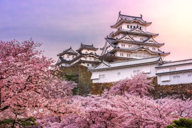 Nda bahar kiraz çiçeği sezonunda Himeji Kalesi Himeji, Japonya.