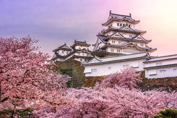 Himeji Japonsko Hradě Himedži Sezóně Jaro Třešňový Květ — Stock fotografie